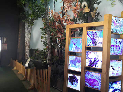 1572830130836896.jpg 3cc3aec746f284238ad35b16213079d.jpg